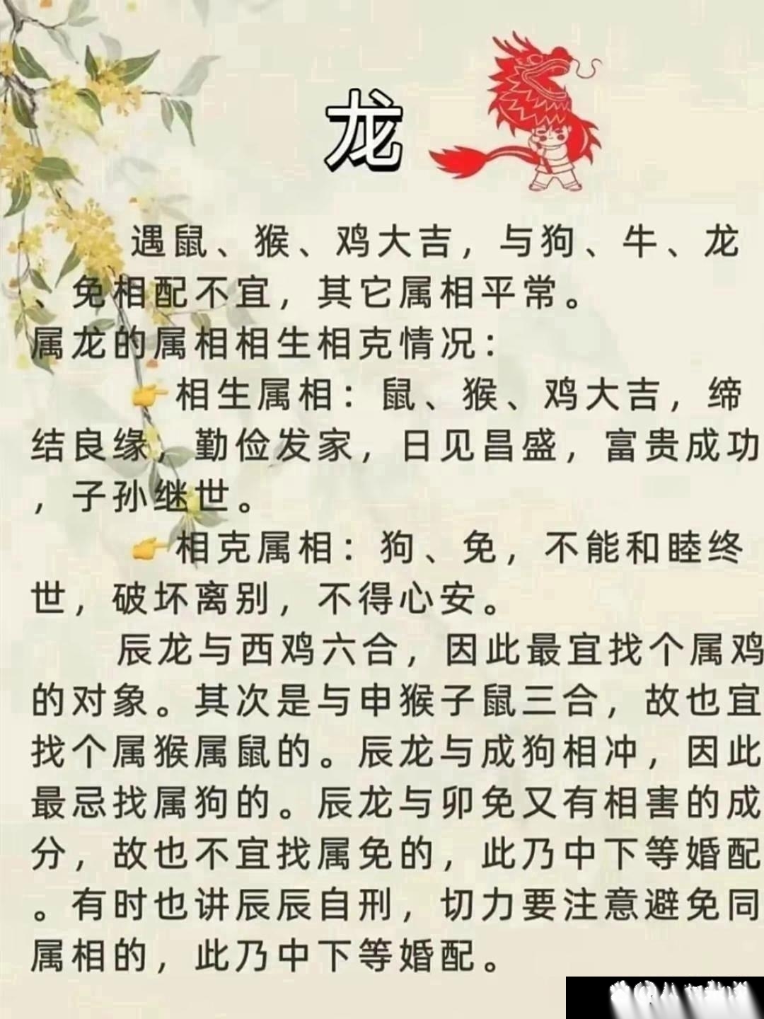 生肖鼠和猪婚配如何(鼠跟猪生肖做夫妻好吗)
