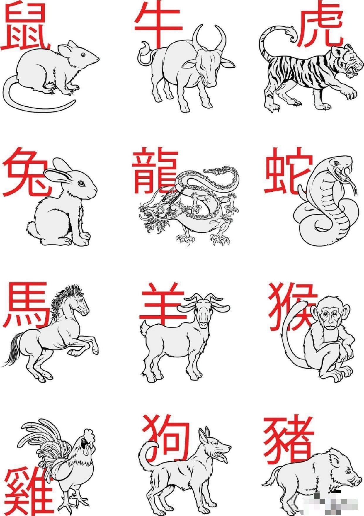 生肖表十二顺序表2022(生肖表十二顺序2020属相)