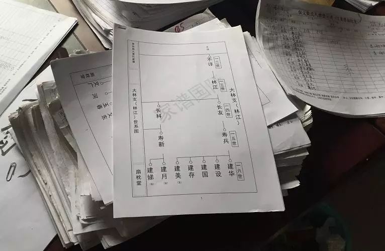 APP家谱步骤(家谱用什么软件排版) APP家谱步骤(家谱用什么软件排版)