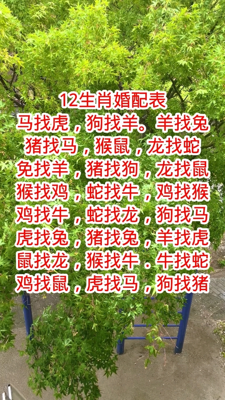 生肖配对表年份(生肖年份配对表大全) 生肖配对表年份(生肖年份配对表大全)