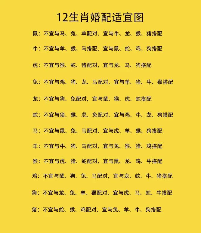 十二生肖姻缘(十二生肖姻缘配对12属相婚配表)