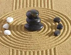 平台青囊禁忌(青囊AI医药系统最新版本更新内容) 平台青囊禁忌(青囊AI医药系统最新版本更新内容)
