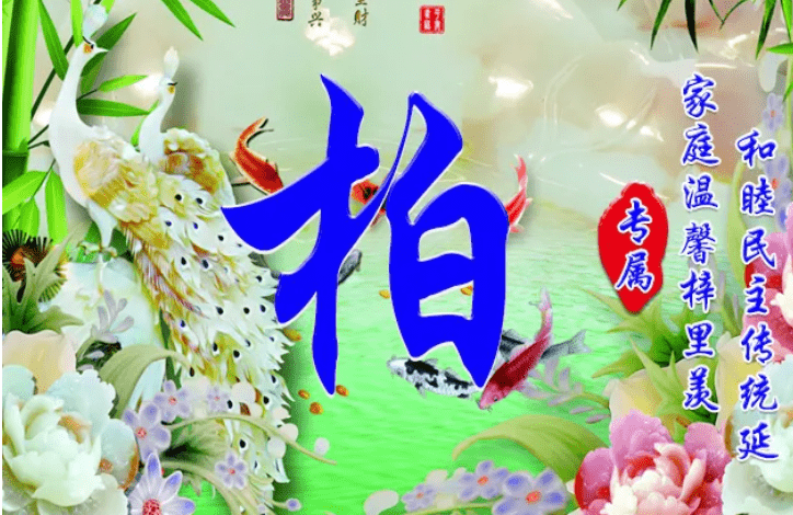 全面姓准吗(全姓有哪些人)