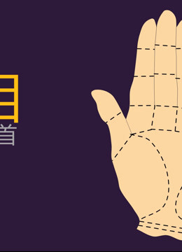 名师运势要点的简单介绍