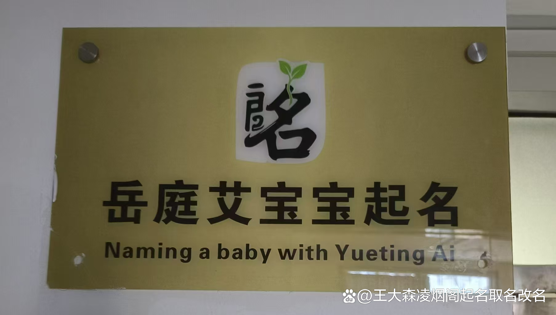 免费取名靠谱吗(真正免费取名平台)