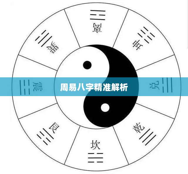 精准周易解析(周易全解易经占卜入门) 精准周易解析(周易全解易经占卜入门)