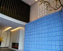 即时青囊报价(青囊集这个技术可靠吗) 即时青囊报价(青囊集这个技术可靠吗)