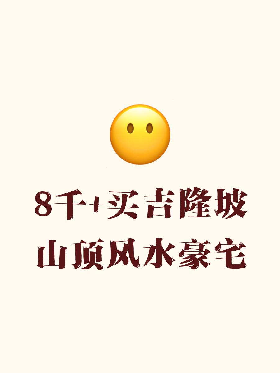 自动风水价位(智能风水专业版) 自动风水价位(智能风水专业版)