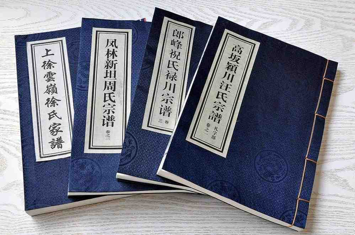 权威族谱收费(能看族谱的软件吗) 权威族谱收费(能看族谱的软件吗)