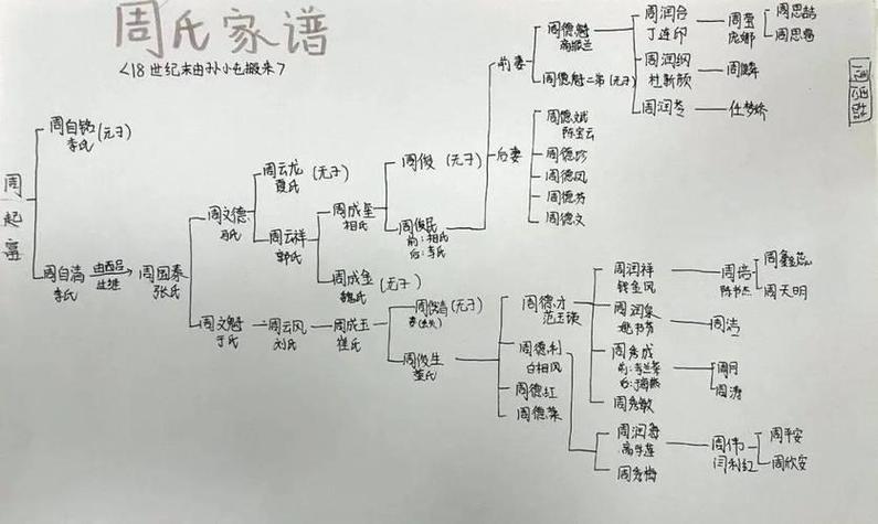 小程序族谱(族谱小程序开源)