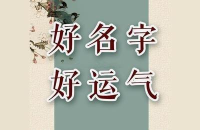 百度在线起名免费(百度一下起名字大全)