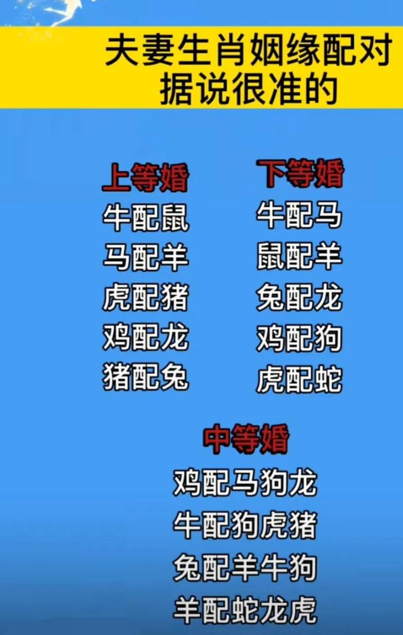 生肖姻缘(生肖姻缘运势分析)