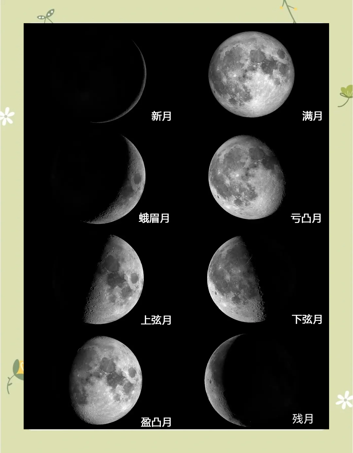 十二星座月亮星座(十二星座月亮星座配对)
