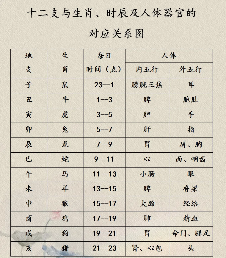 即时属相要素(属相以什么为标准)