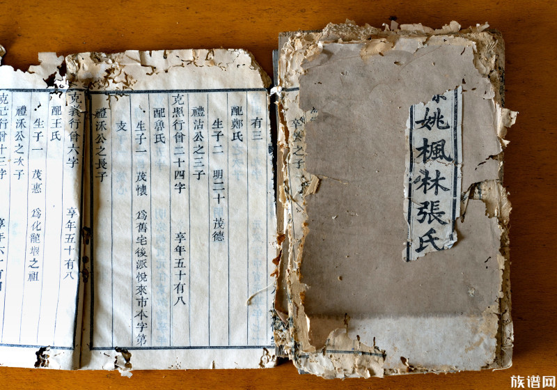 电脑家谱准吗(家谱自己电脑排版)