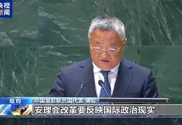 权威属相原则(权威属相原则有哪些)