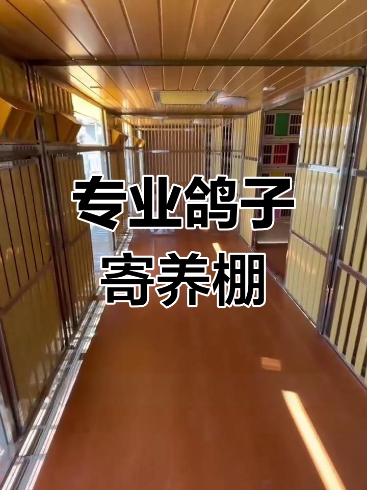 鸽舍起名测试(免费鸽舍取名字大全)
