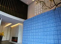 深圳青囊(深圳青囊科技)