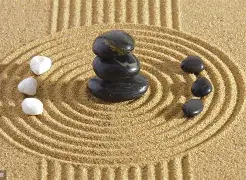 深圳青囊(深圳青囊科技)