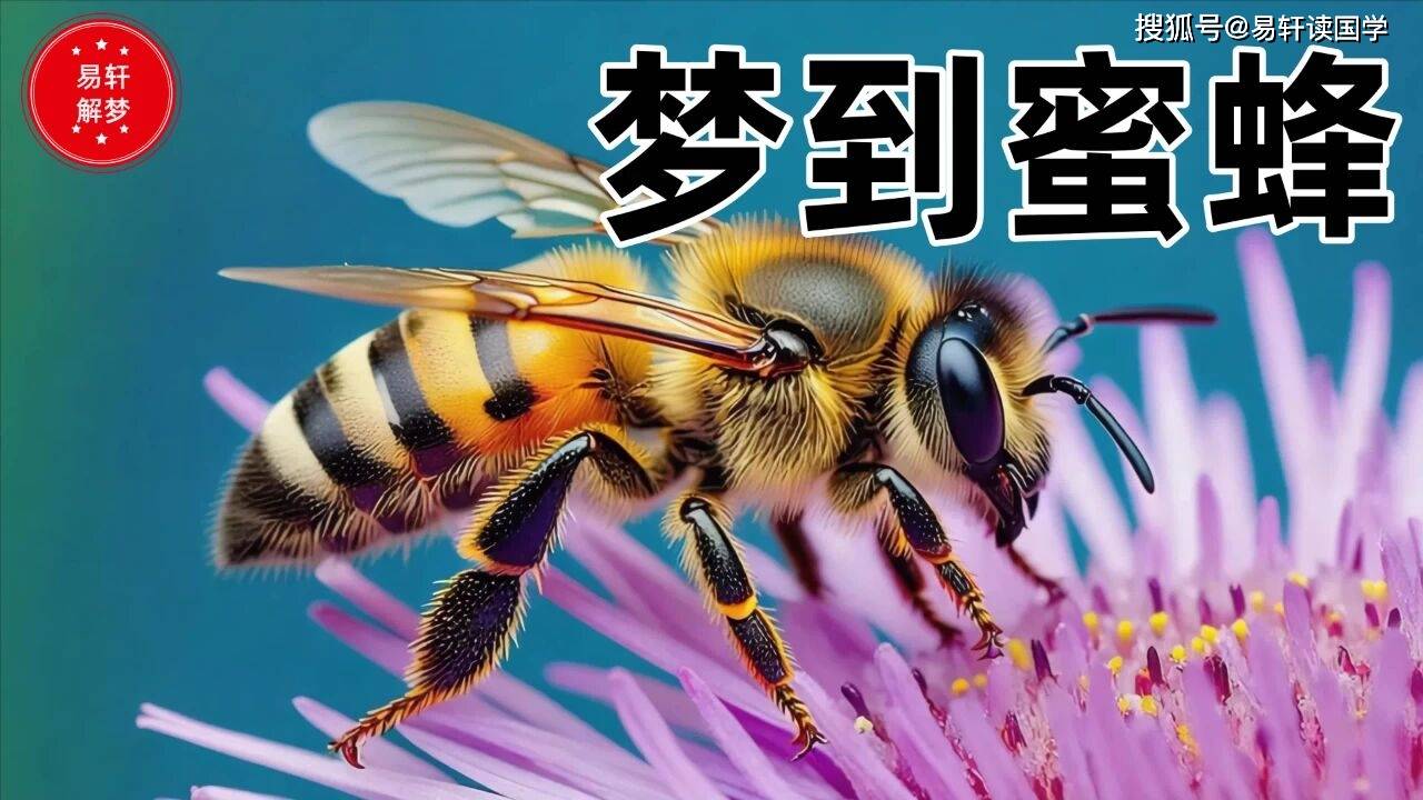 在线解梦(在线解梦周公解梦)