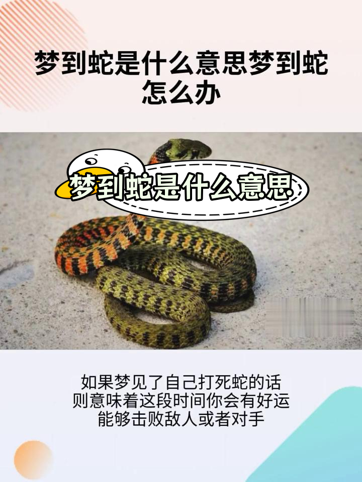 周公解梦梦见好多蛇(周公解梦梦见好多蛇缠着我) 周公解梦梦见好多蛇(周公解梦梦见好多蛇缠着我)