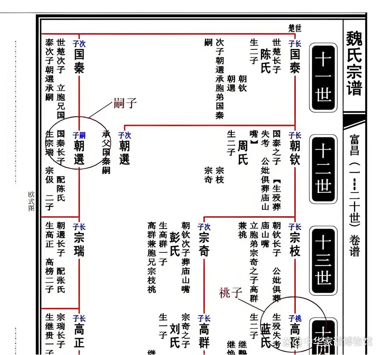 专业家谱(专业家谱开光)