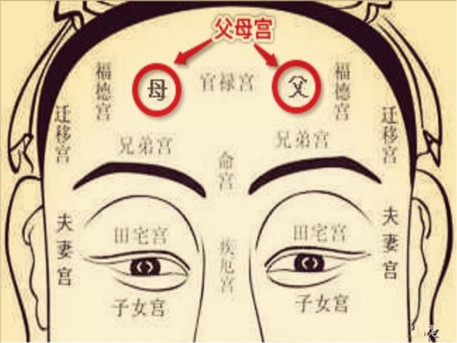面相占卜(面相占卜图)