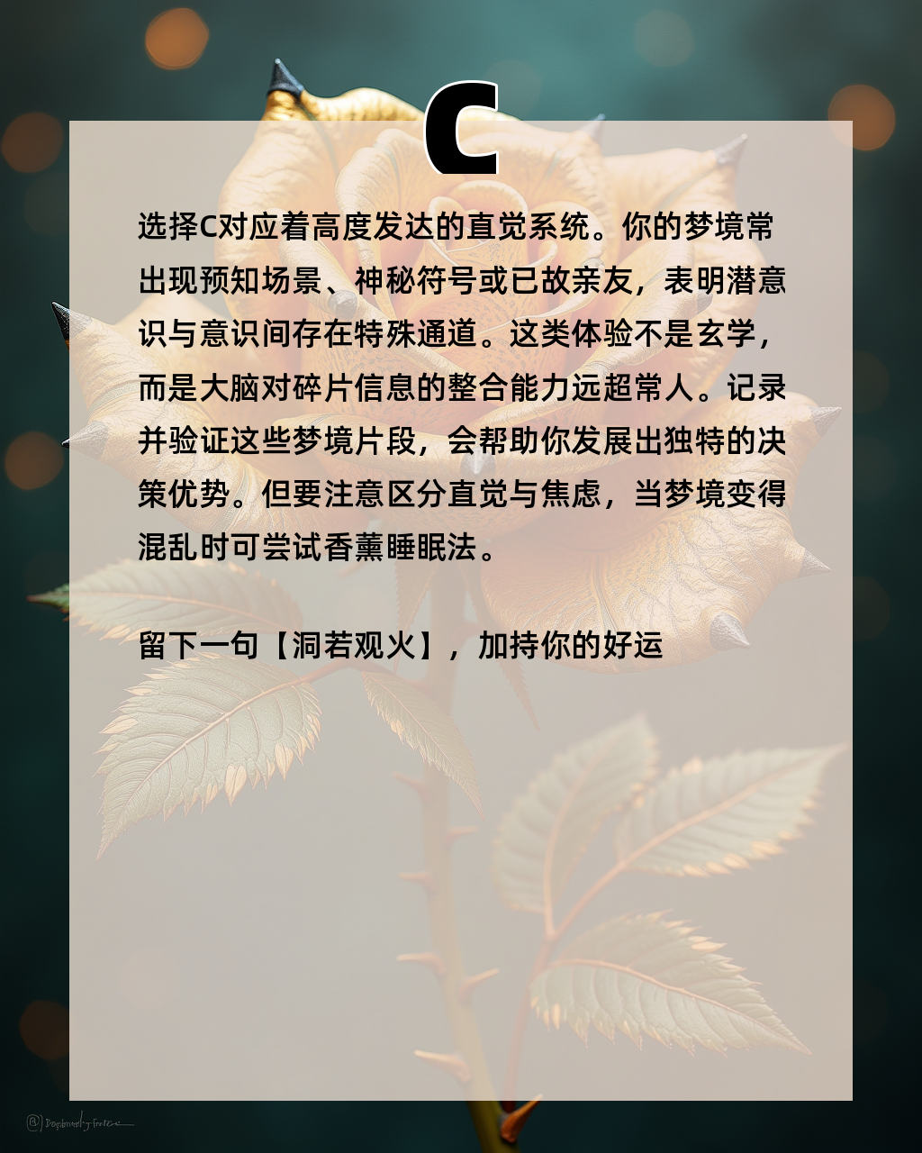 最准梦境好不好(做梦比较准的人好么)