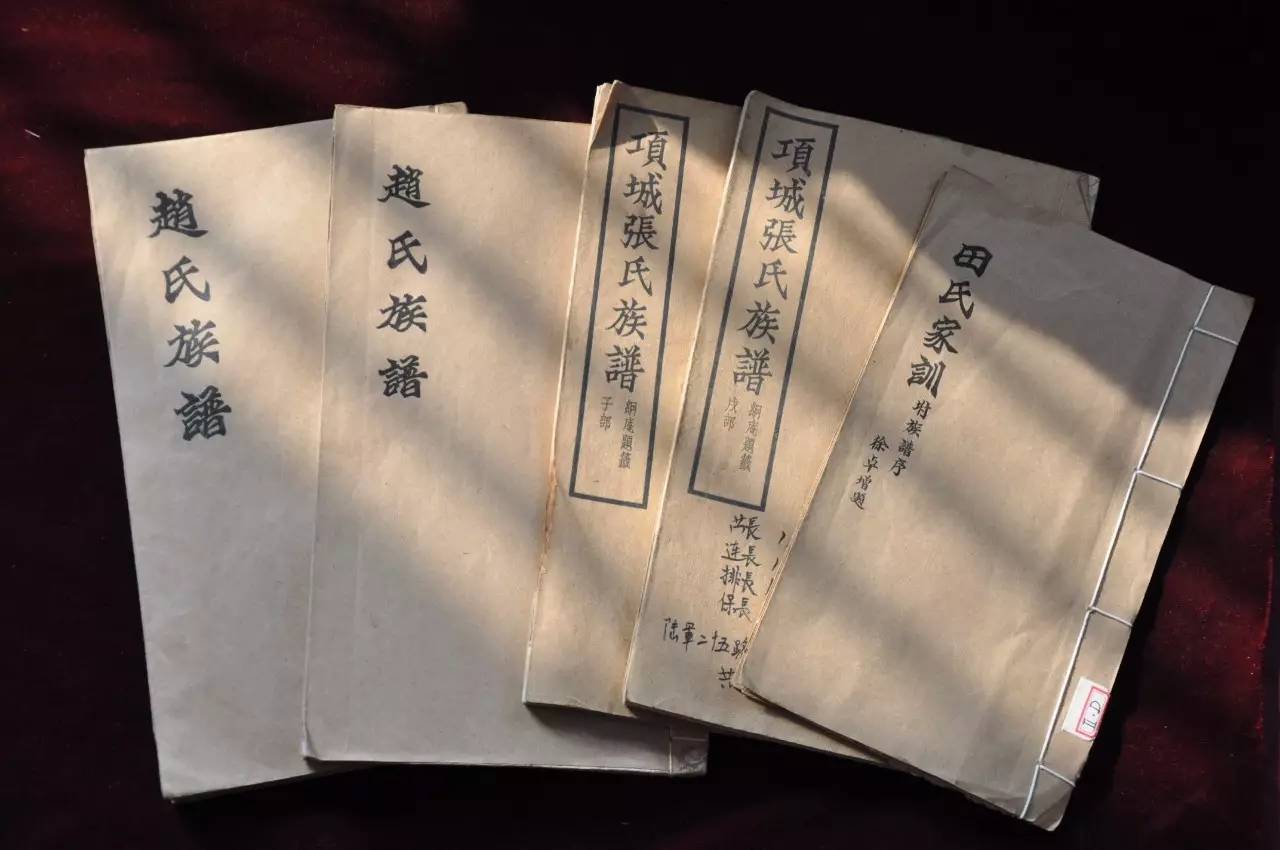 为什么家谱(为什么家谱上不写女人的名字)