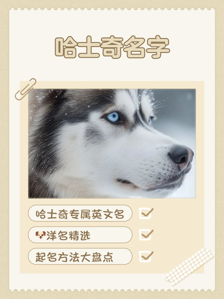 给狗狗起名字大全(狗狗起名字大全母狗) 给狗狗起名字大全(狗狗起名字大全母狗)