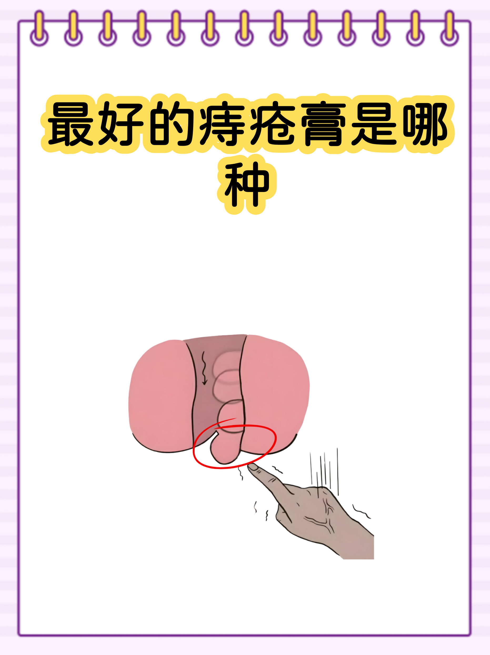 完整版姓指南的简单介绍 完整版姓指南的简单介绍