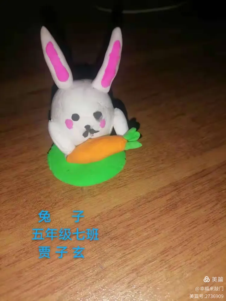 学生生肖(学生生肖代表动物)