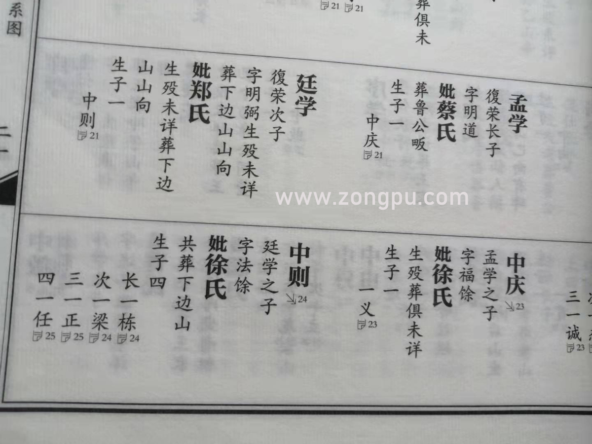 自动族谱真的吗(好用的族谱制作软件)