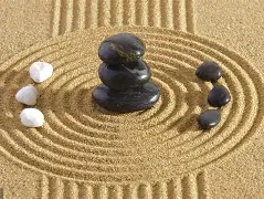 专业青囊要素(高校专业建设五大要素) 专业青囊要素(高校专业建设五大要素)