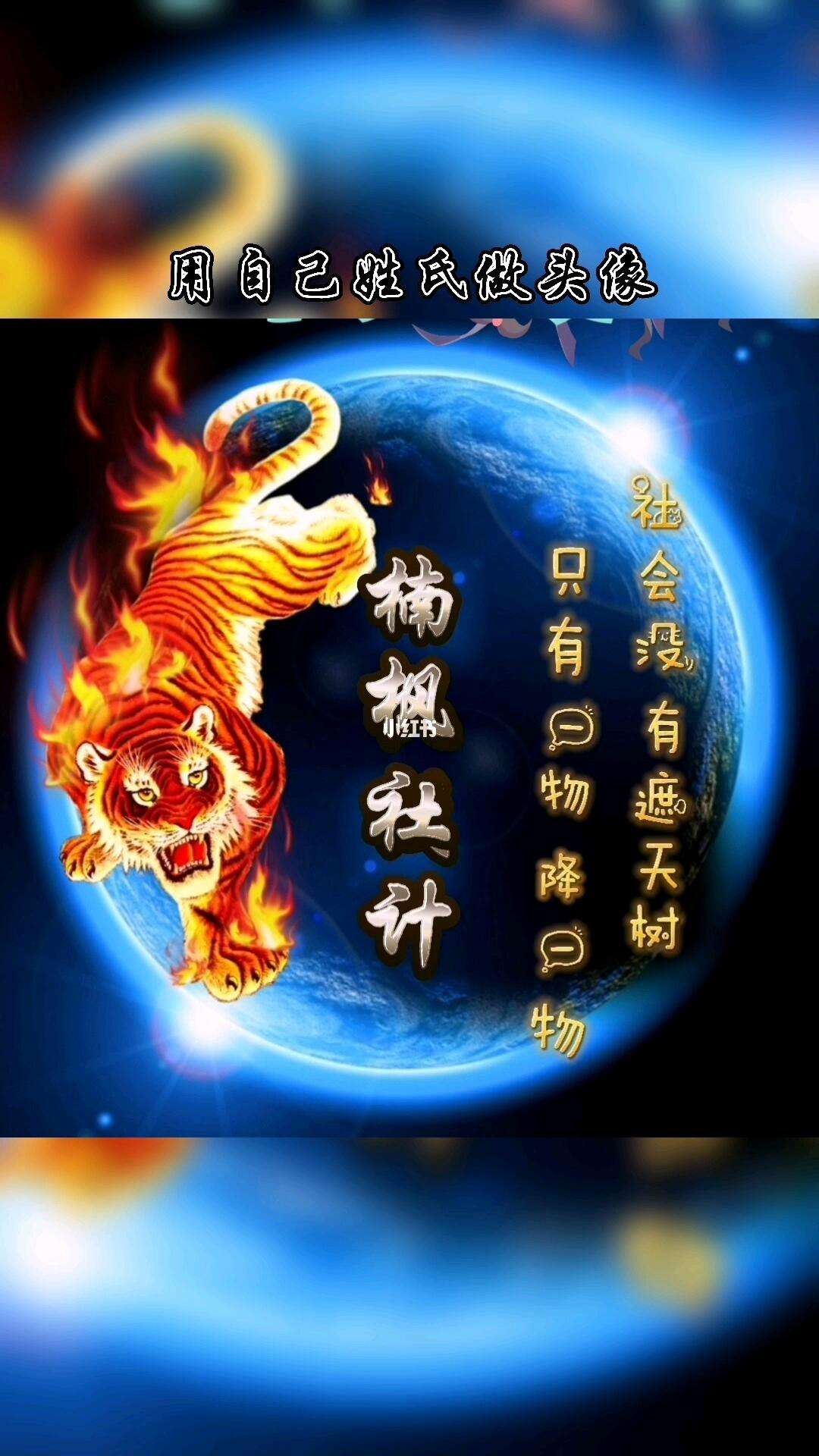 最新姓氏攻略(姓氏游戏入口在哪里)