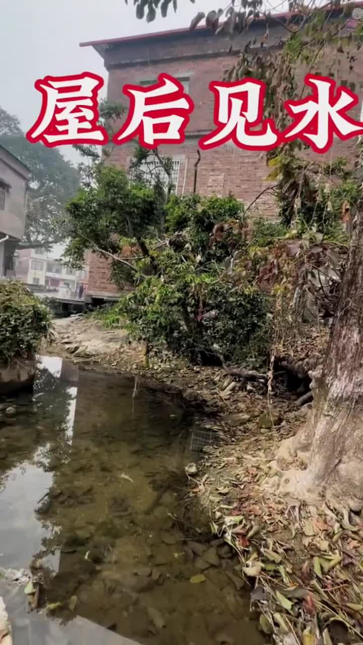 房屋排水的风水讲究 房屋排水的风水讲究