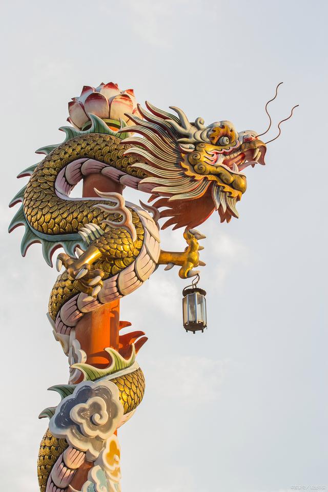 十二生肖龙 十二生肖龙
