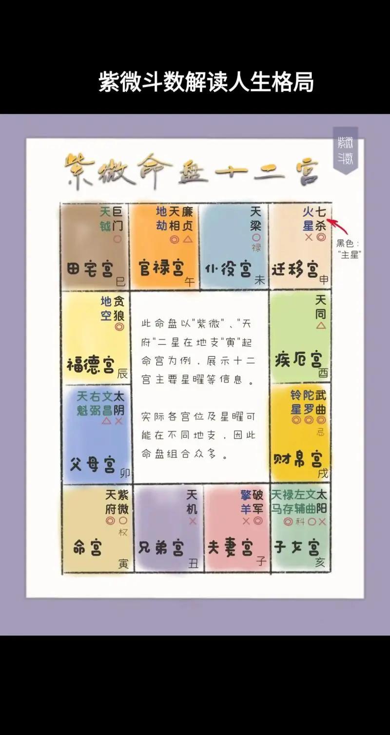紫微排盘免费版官网