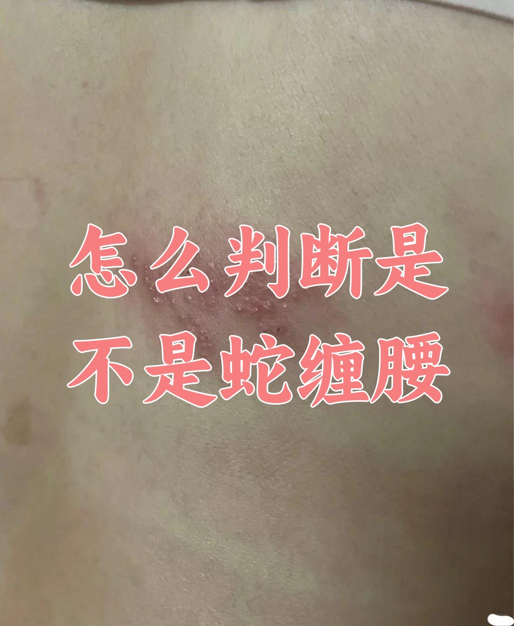 梦见蛇缠身好不好