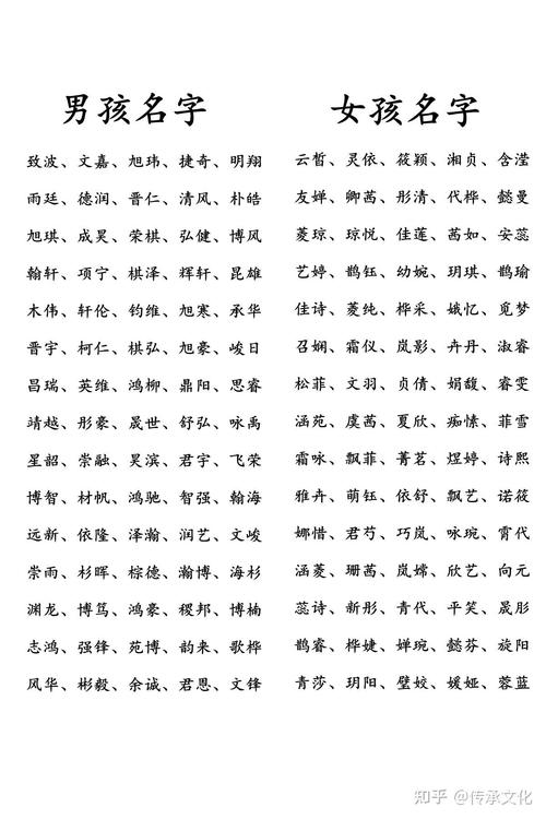 取名大全