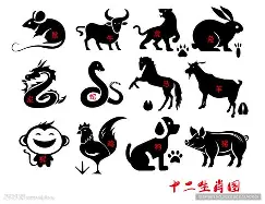 生肖配对表图片十二生肖 生肖配对表图片十二生肖