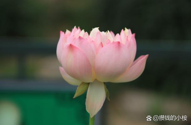 真正运程 真正运程