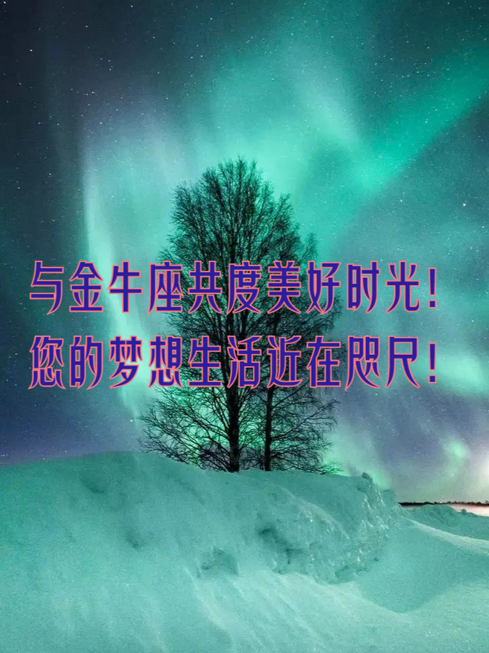 金牛星座的全部资料
