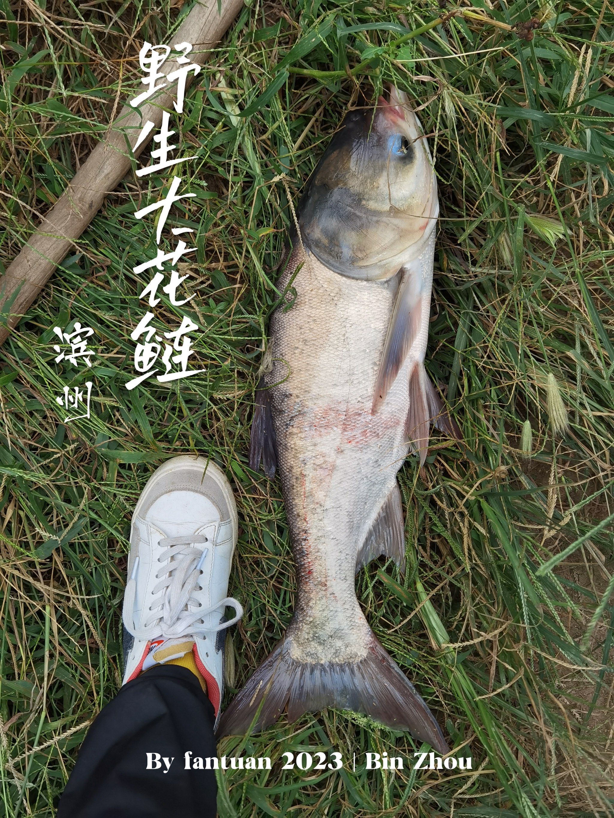 苦花鱼几月份最好钓