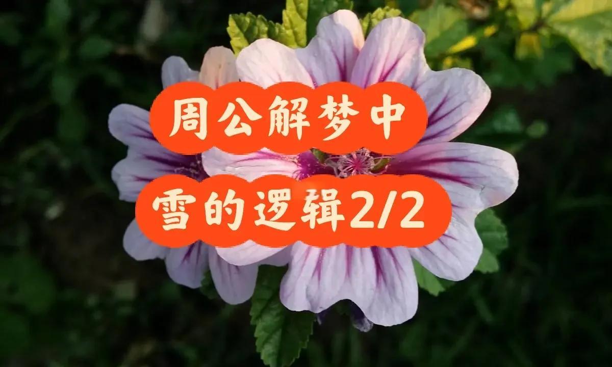 周公解梦大全查询下雪