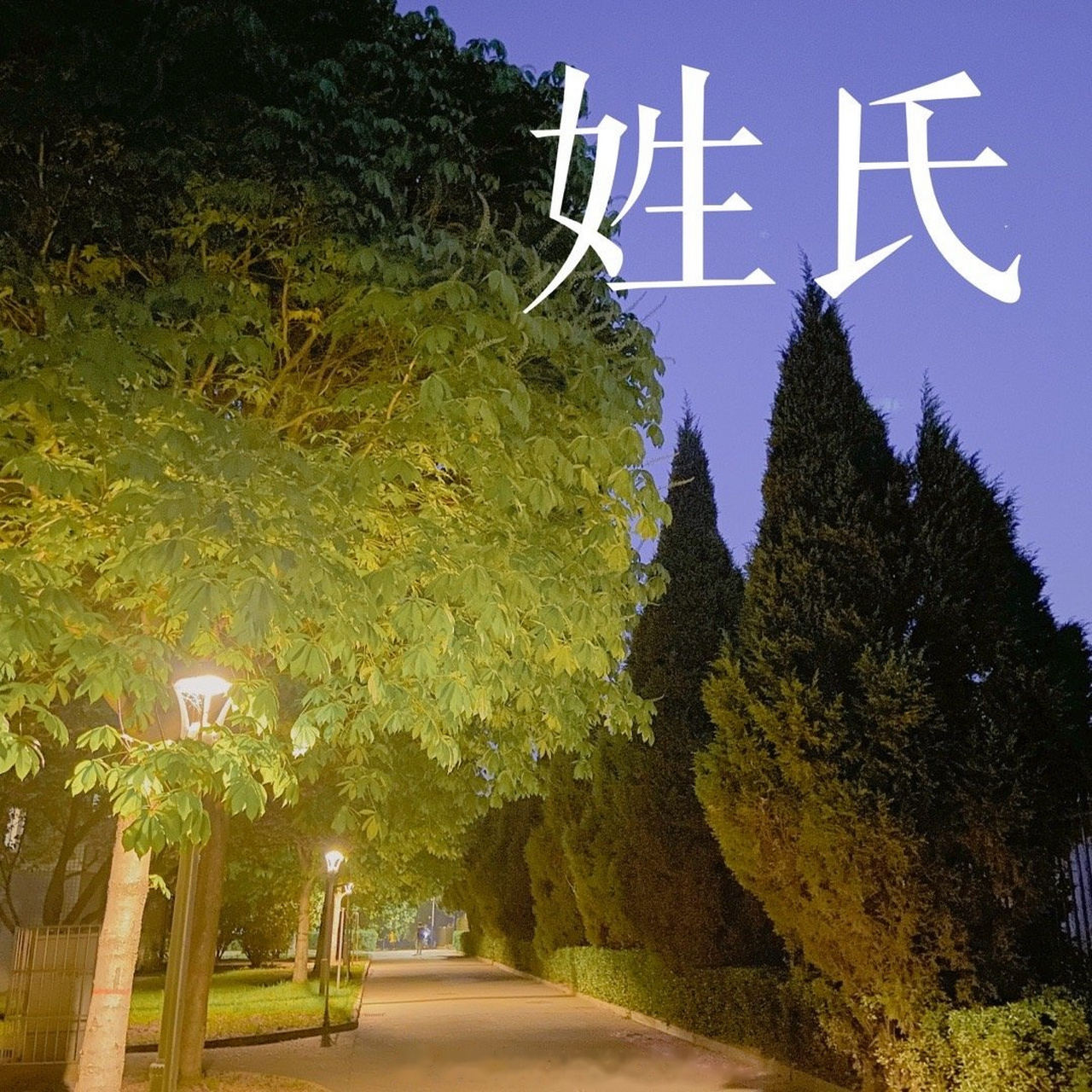 陕西稀有姓氏 陕西稀有姓氏