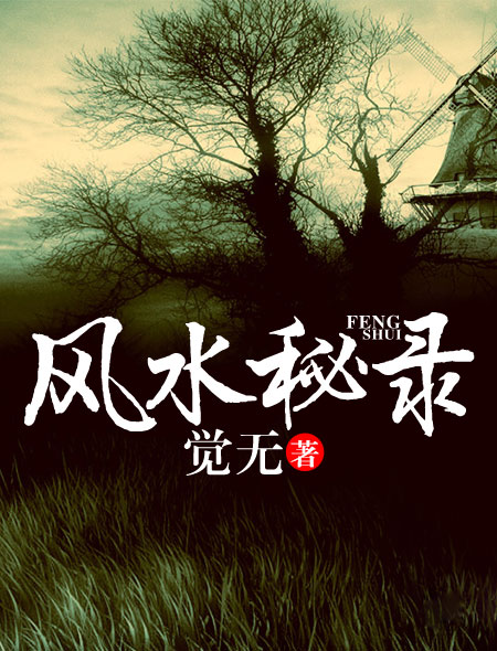 风水街开店的小说