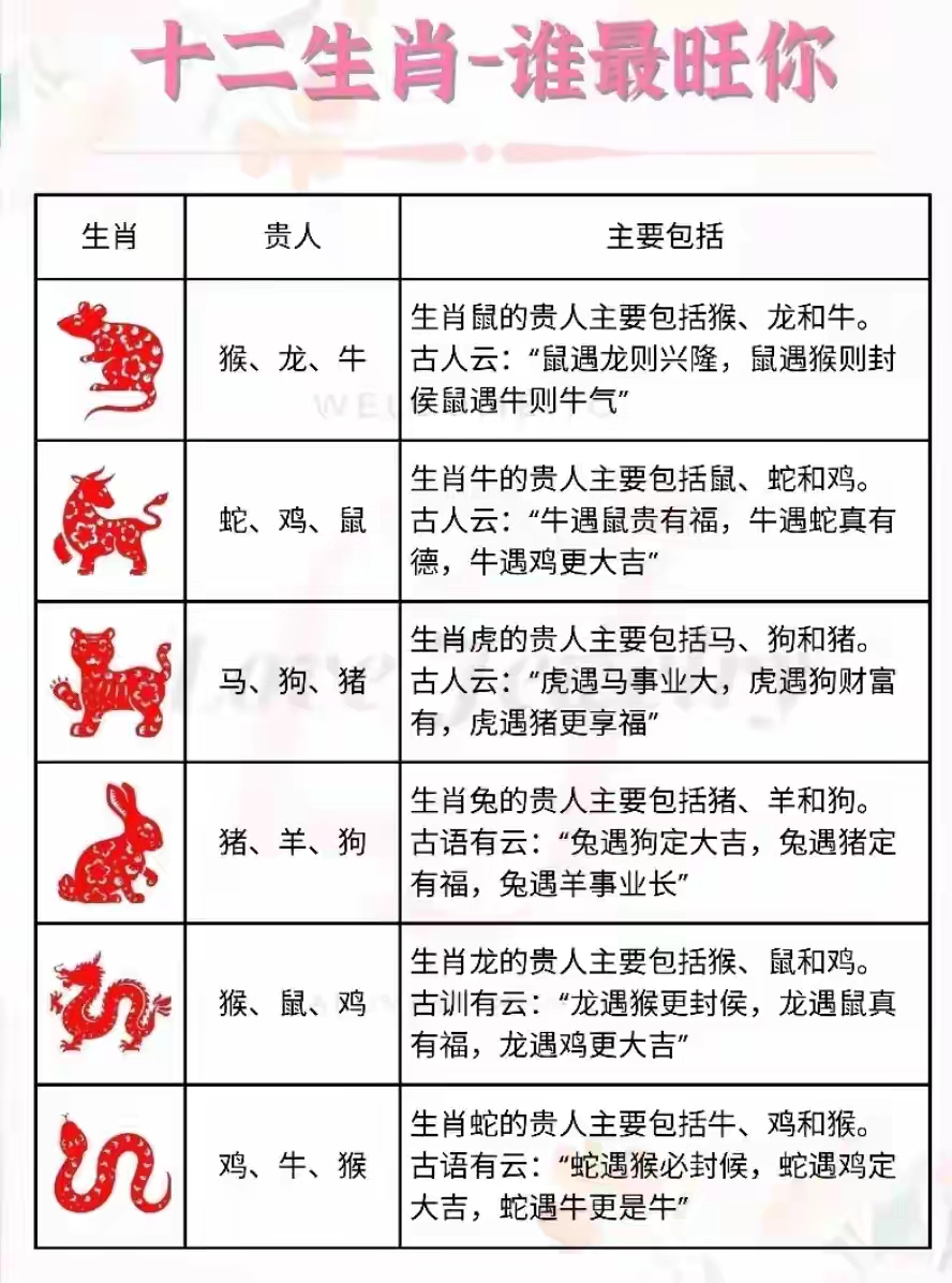明年十二生肖好不好