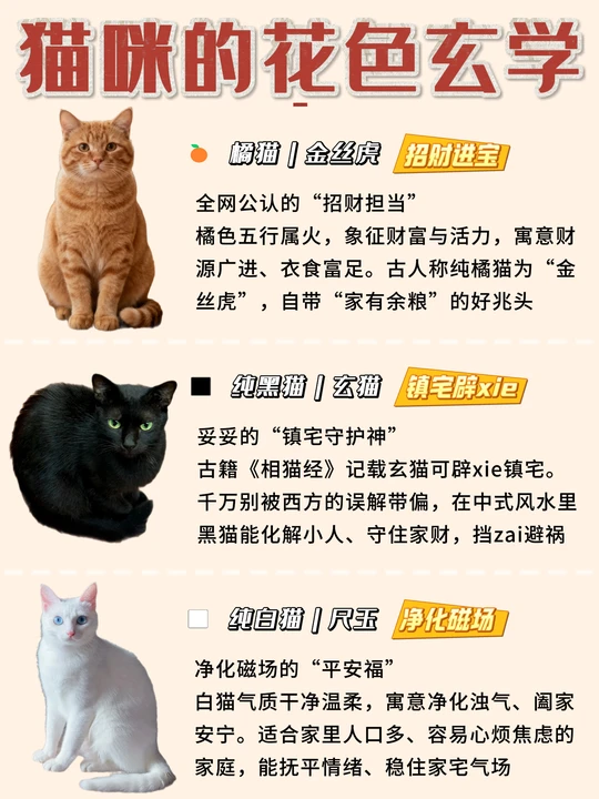 玄学风水学家里来猫预兆 玄学风水学家里来猫预兆