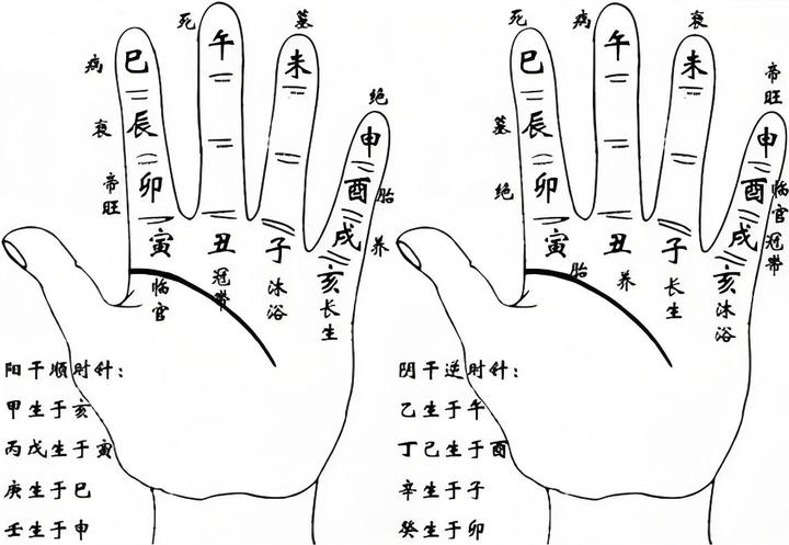 八字排盘自测基础教程 八字排盘自测基础教程